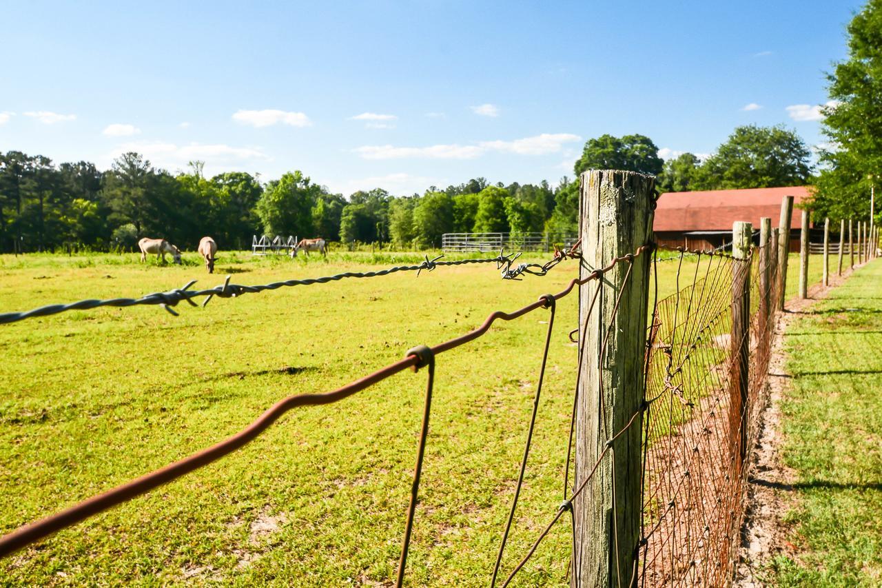 Dublin Farm Bed & Breakfast Екстериор снимка