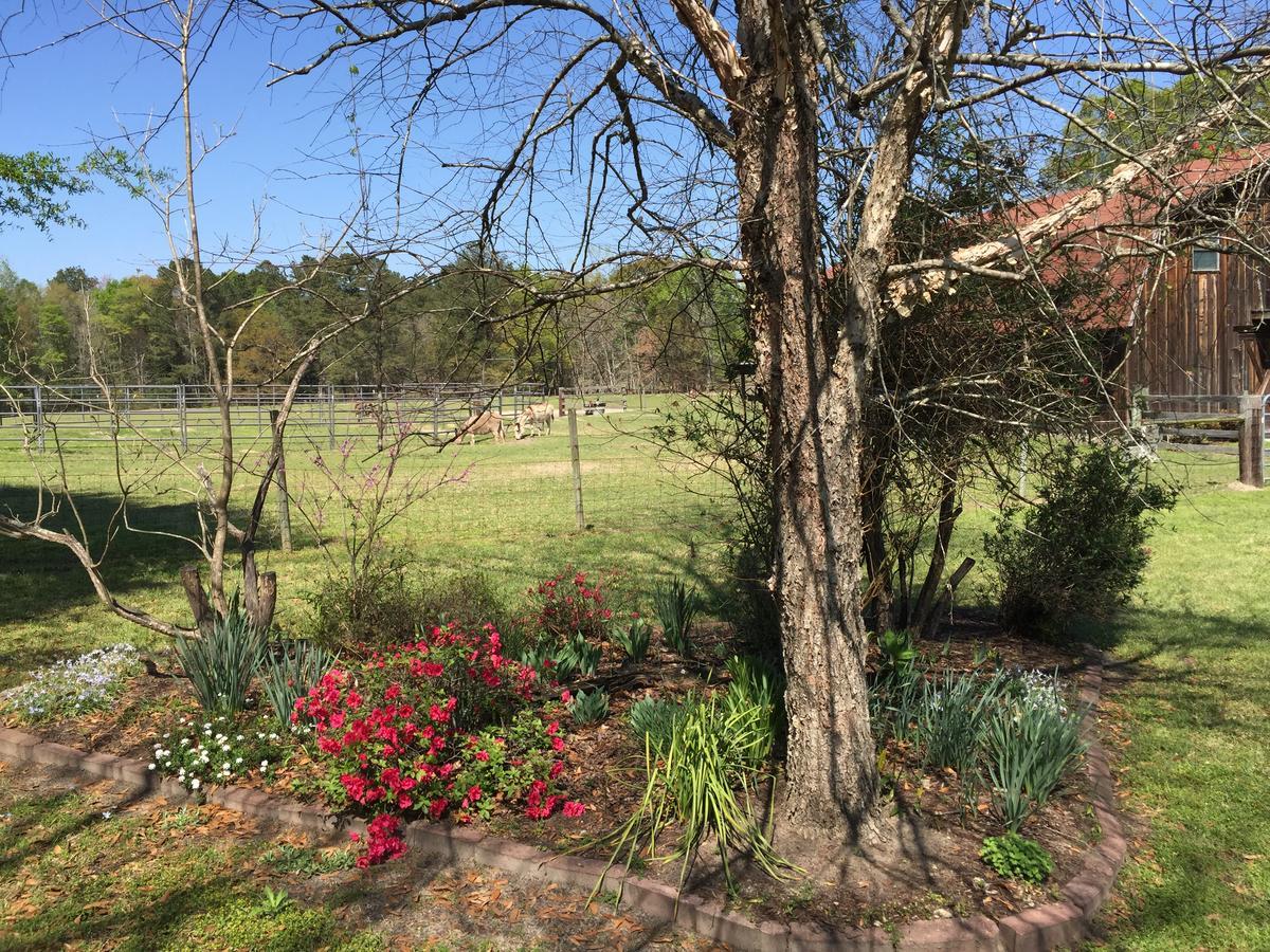 Dublin Farm Bed & Breakfast Екстериор снимка