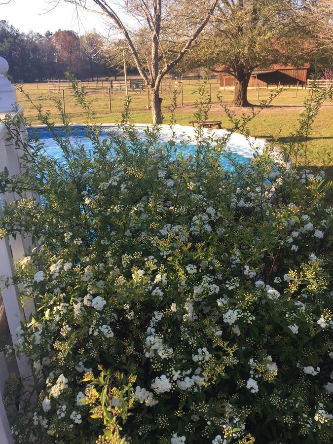 Dublin Farm Bed & Breakfast Екстериор снимка
