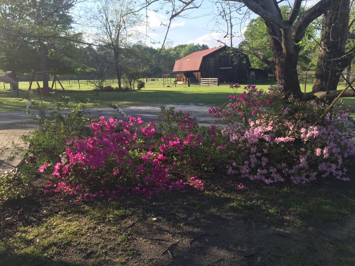 Dublin Farm Bed & Breakfast Екстериор снимка